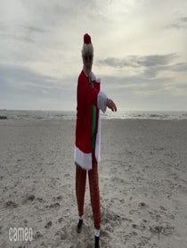 Poster for Intro video video from That flippin’ Santa