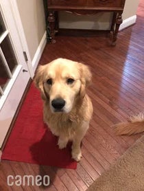 Poster for Intro video video from Jaden Kingsley