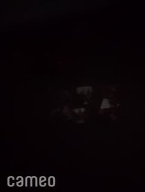 Poster for Intro video video from Rayne