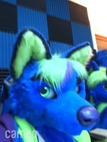 Poster for Intro video video from Odin wolf