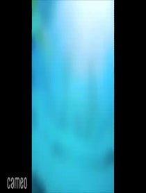 Poster for Intro video video from Mermaid CaySea