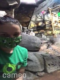 Poster for Intro video video from Ring Tailed Lemur Family