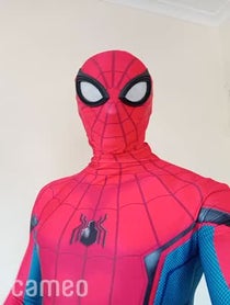 Poster for Intro video video from St Kilda Spiderman