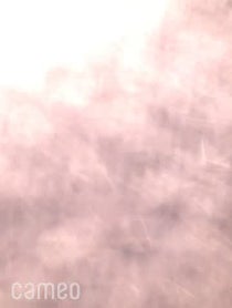 Poster for Intro video video from N I C O L E   P E D R A