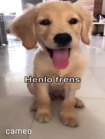 Poster for Intro video video from Eli Hachiko