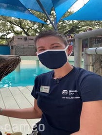 Poster for Intro video video from Sea Lions at Houston Zoo