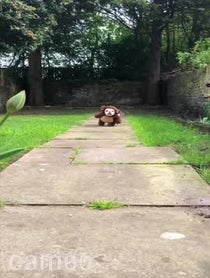 Poster for Intro video video from Charlie The Teddy Bear