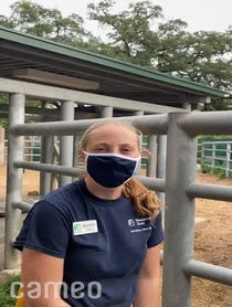 Poster for Intro video video from Rhinos at Houston Zoo