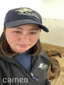 Poster for Intro video video from Pacific Marine Mammal Center