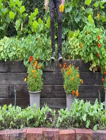 Poster for Intro video video from Rick Bayless