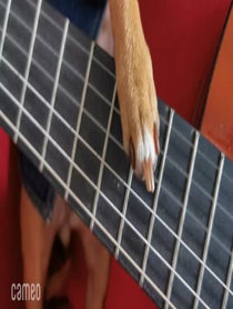 Poster for Intro video video from Inna The Explorer