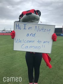Poster for Intro video video from Nutzy the Flying Squirrel