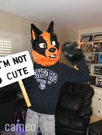 Poster for Intro video video from Suka Vulpe