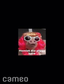 Poster for Intro video video from Hamlet The Piggy