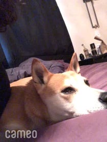 Poster for Intro video video from JmaC - Manic Focus