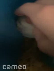 Poster for Intro video video from Squeaker