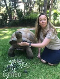 Poster for Intro video video from Shellebrate with a Tortoise Cameo