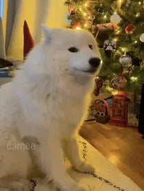 Poster for Intro video video from =======