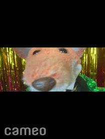 Poster for Intro video video from Basil Brush