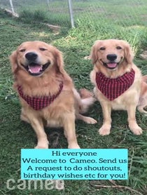 Poster for Intro video video from Josie & Comet