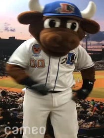 Poster for Intro video video from Wool E. Bull