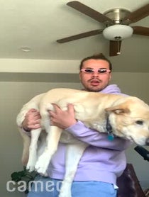 Poster for Intro video video from James Violet🌻