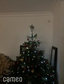 Poster for Intro video video from Right Said Fred (I’m Too Sexy)