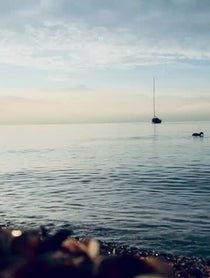 Poster for Intro video video from Arryn Zech