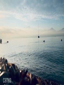 Poster for Intro video video from Arryn Zech