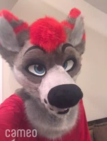 Poster for Intro video video from Dayzer Husky