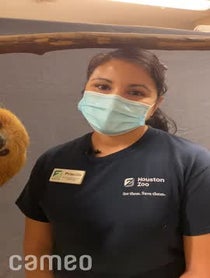 Poster for Intro video video from Curly the Sloth at Houston Zoo