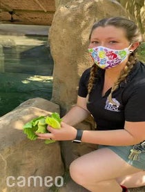 Poster for Intro video video from Fiona the Hippo