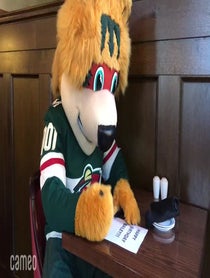 Poster for Intro video video from Nordy Wild