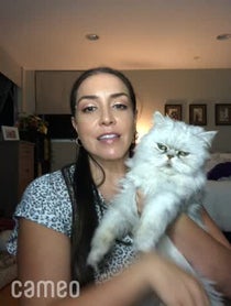 Poster for Intro video video from Anne Marie Avey/Colonel Meow